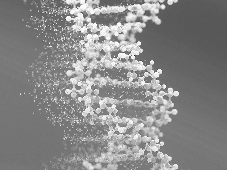 Polynucleotides Treatment